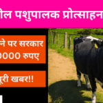 Pragatishil Pashupalak Protsahan Yojana: गाय खरीदने पर मिलेंगे ₹40 हजार रुपए, लाभ और आवेदन (प्रगतिशील पशुपालक प्रोत्साहन योजना)