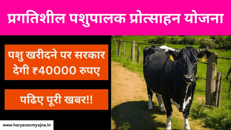 Pragatishil Pashupalak Protsahan Yojana: गाय खरीदने पर मिलेंगे ₹40 हजार रुपए, लाभ और आवेदन (प्रगतिशील पशुपालक प्रोत्साहन योजना)