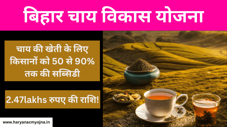 Bihar Chai Vikas Yojana 2023-24: चाय की खेती करने पर मिलेगी 90% सब्सिडी, लाभ और विशेषताएं (बिहार चाय विकास योजना)