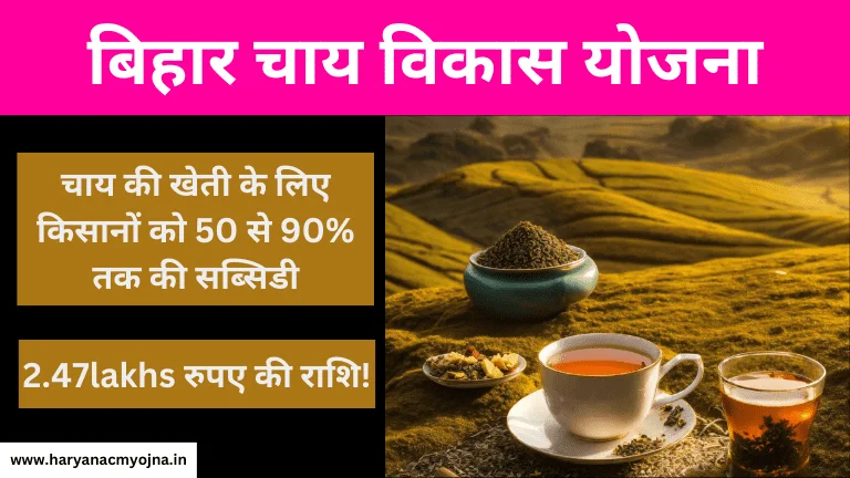 Bihar Chai Vikas Yojana 2023-24: चाय की खेती करने पर मिलेगी 90% सब्सिडी, लाभ और विशेषताएं (बिहार चाय विकास योजना)