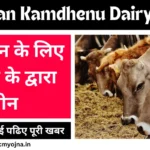 Rajasthan Kamdhenu Dairy Yojana 2025