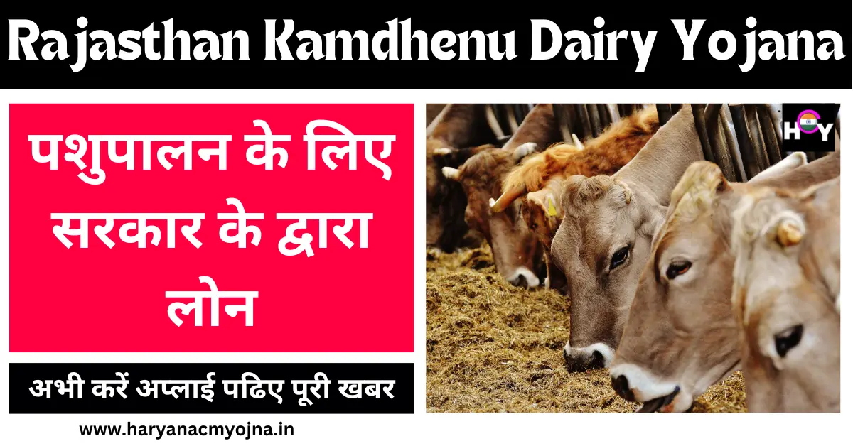 Rajasthan Kamdhenu Dairy Yojana 2025