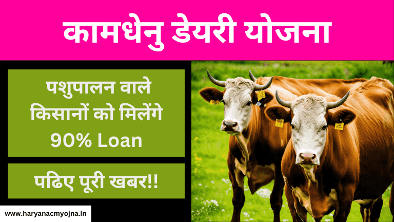 राजस्थान कामधेनु डेयरी योजना: फॉर्म कैसे भरें, लाभ और विशेषताएं, (Rajasthan Kamdhenu Dairy Yojana)