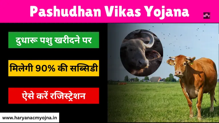 Mukhyamantri Pashudhan Vikas Yojana 2024: पशु खरीदने पर 90% की सब्सिडी
