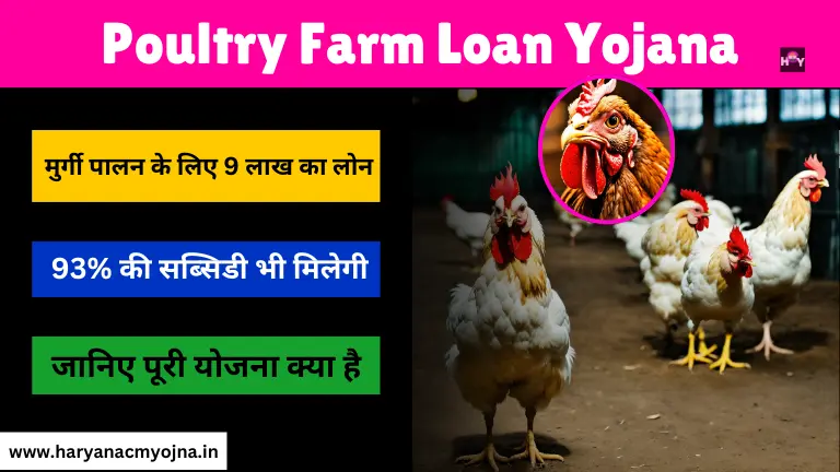 Poultry Farm Loan Yojana 2024 केंद्र सरकार देगी 9 लाख तक का लोन (मुर्गी पालन सब्सिडी योजना)