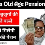 haryana old age pension news today